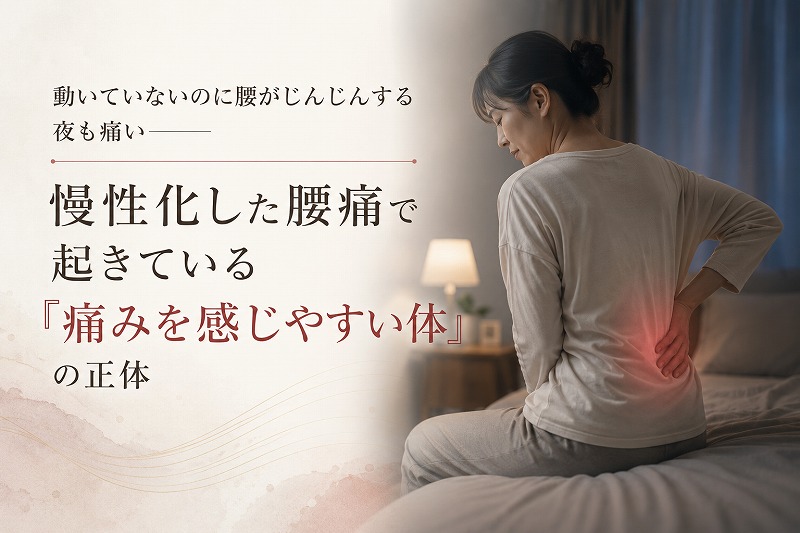 夜の寝室で腰を押さえて痛みに耐える女性と、「動いていないのに腰がじんじんする・夜も痛い——慢性化した腰痛で起きている『痛みを感じやすい体』の正体」というタイトルが配置された腰痛コラムのヘッダー画像。