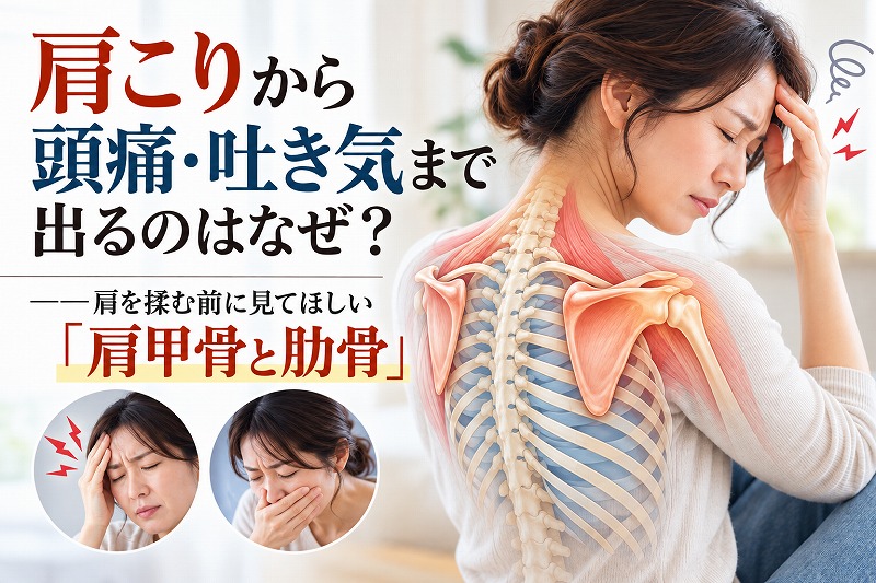 肩こりから頭痛や吐き気が出る原因を、肩甲骨と肋骨の動きに注目して解説する整体コラムのイメージ画像